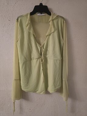 Light Green Sheer Ruffle Tie-Front Long Sleeve Top